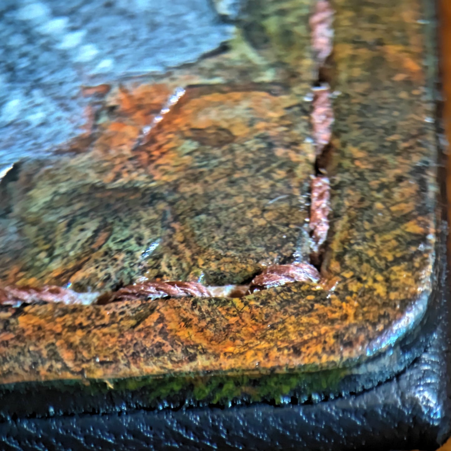 Crinoid sea lilly Fossil - Leather Bifold Wallet - you choose mettalic gold, brown or black for the fossil -