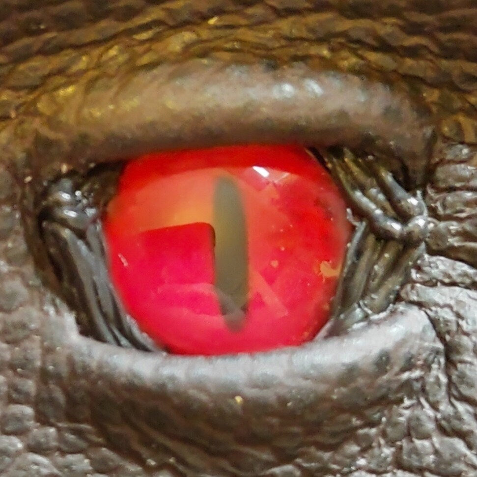 Extra care is given to add unique detail to our in house developed glass eyes. Notice the muscle lined details in black, surrounding the eye*