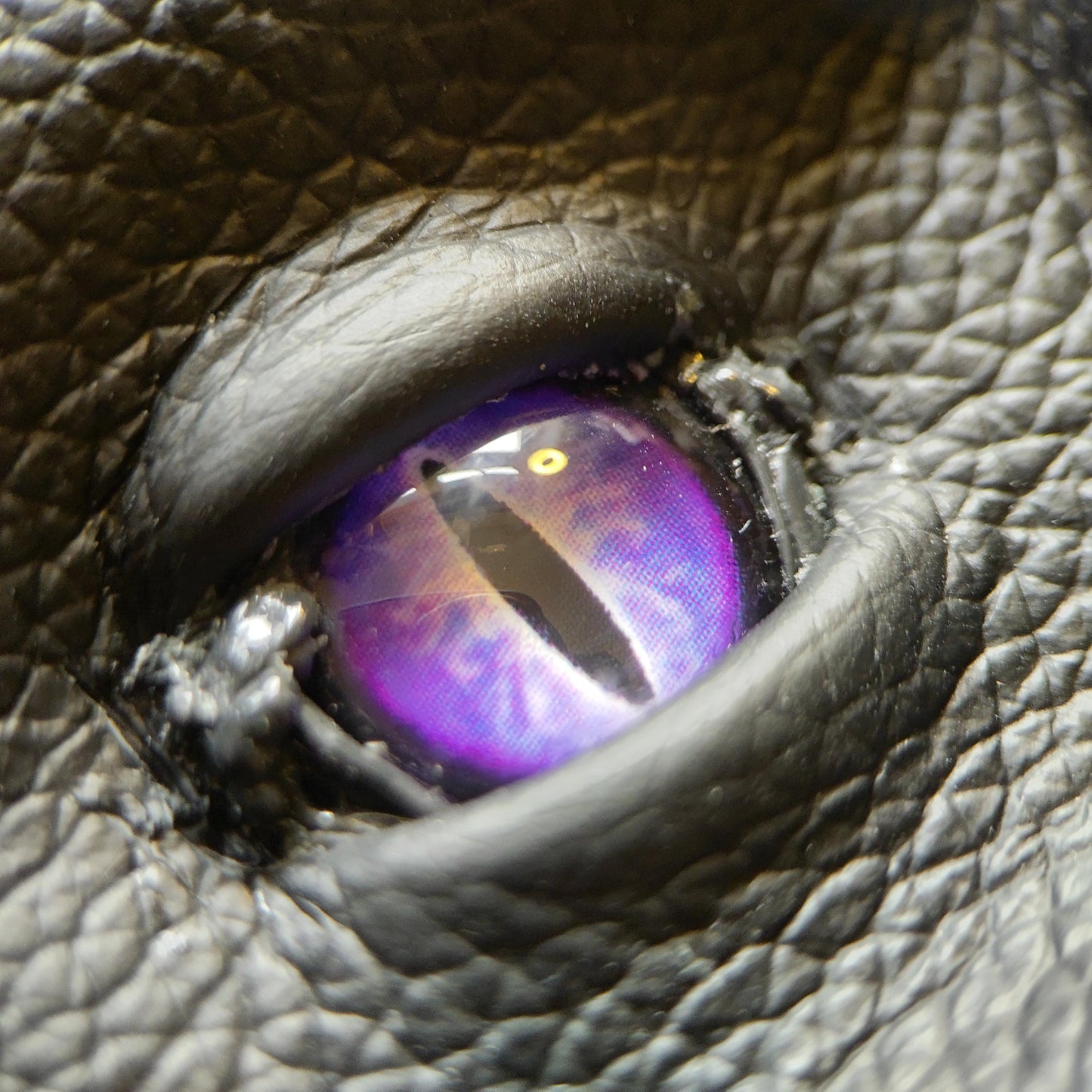 Purple eyes Grumpy Schmuggle face leather wallet - Necromonicon - demon eyes - Leather wallet.