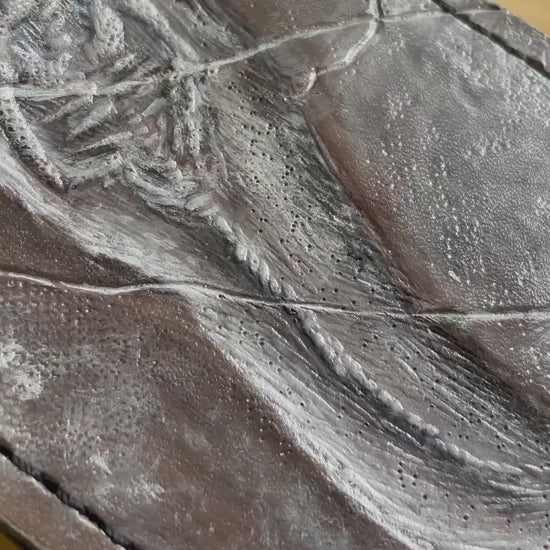 Keichousaurus fossil Skeleton - Leather Bifold Wallet -