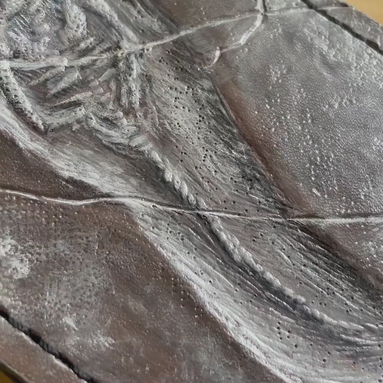 Keichousaurus fossil Skeleton - Leather Bifold Wallet -