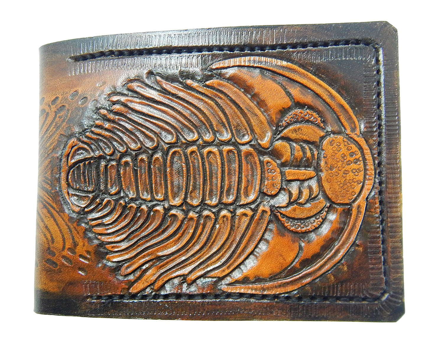 Trilobite Fossil - Leather Bifold Wallet - Handcrafted Wallet -